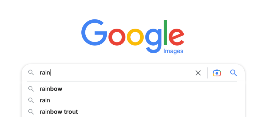 google image search