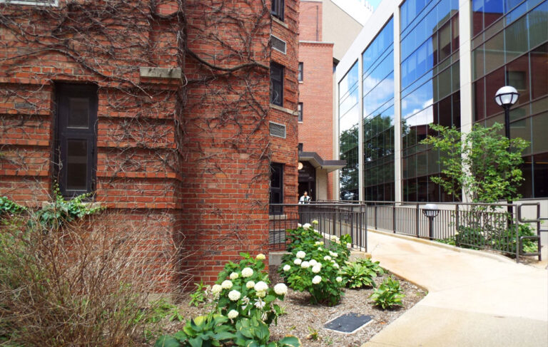 Ucll entrance 768x487