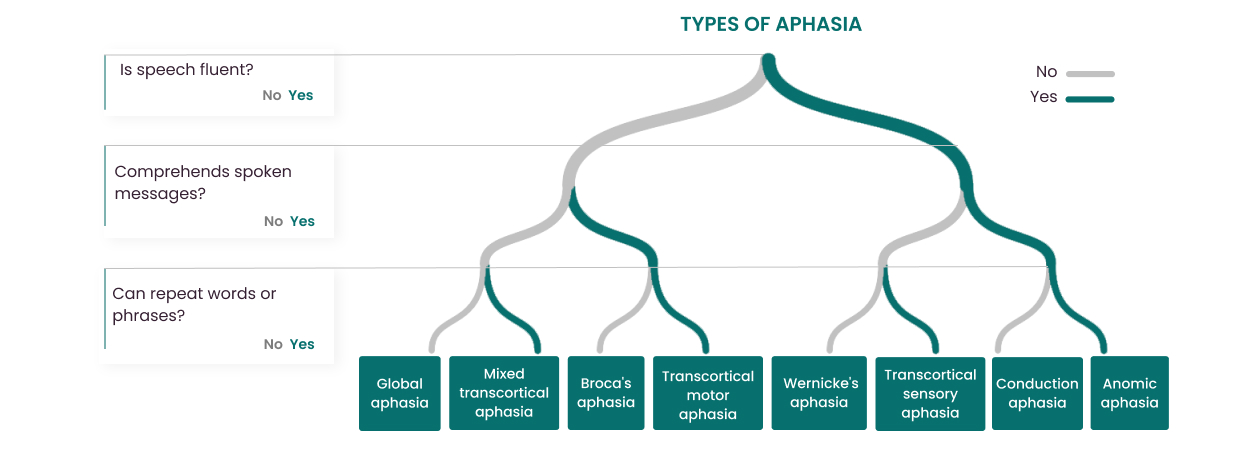 Fluent and Nonfluent Categories of Aphasia