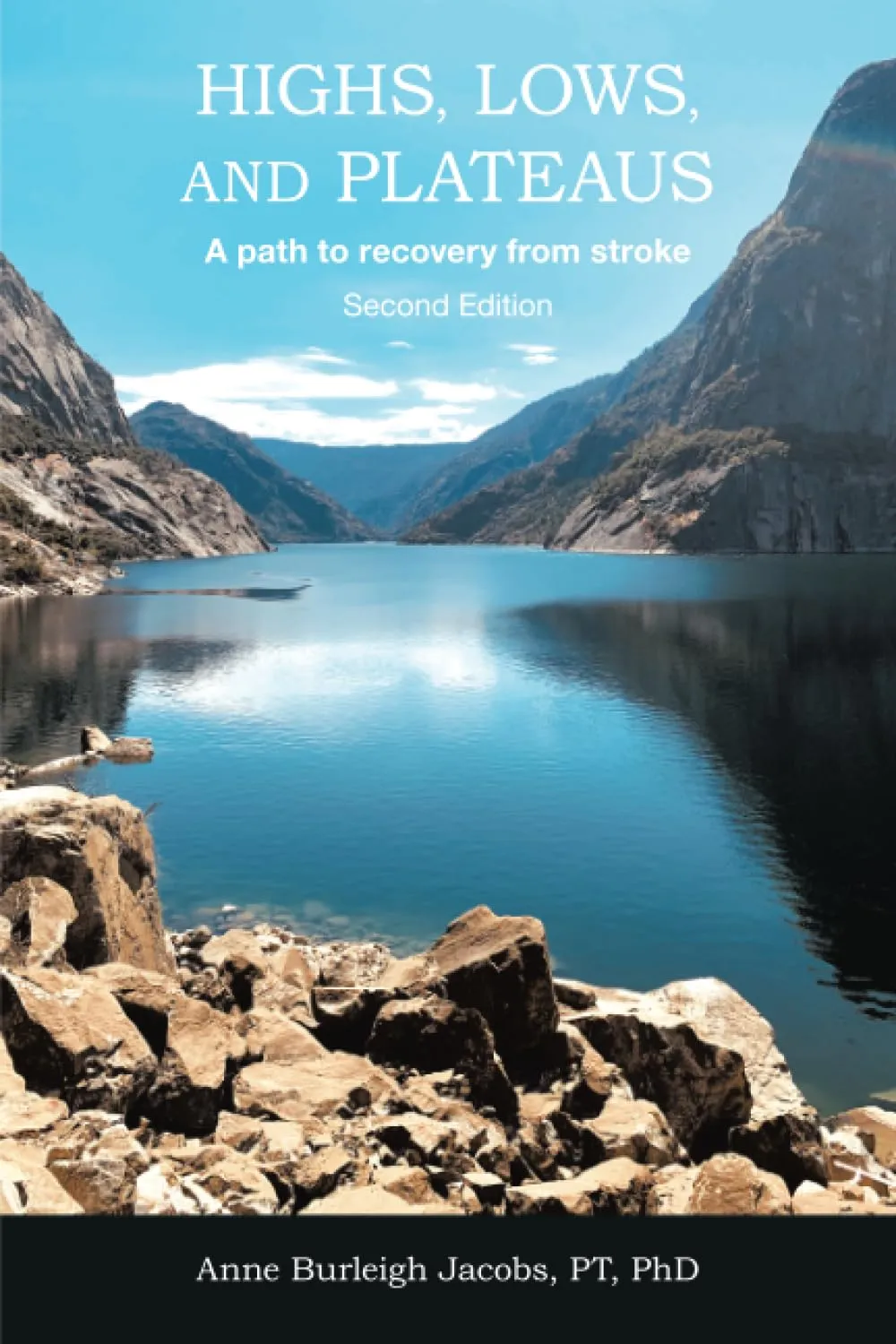Highs, Lows, and Plateaus: A Path to Recovery from Stroke